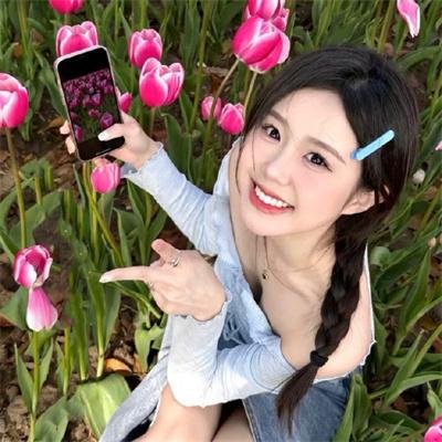 玉女求凰